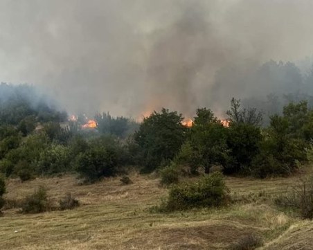 За две денонощия: Пловдивските огнеборци потушиха 42 пожара