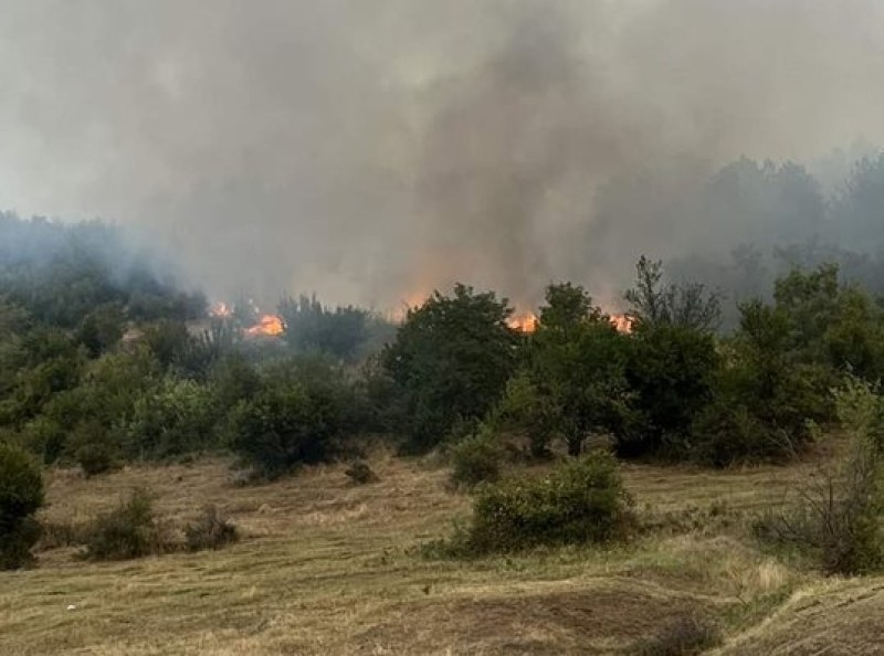 За две денонощия: Пловдивските огнеборци потушиха 42 пожара