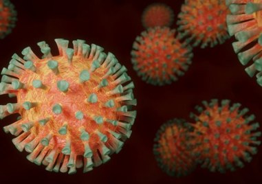 Новите потвърдени случаи на коронавирус у нас за последното денонощие са 32