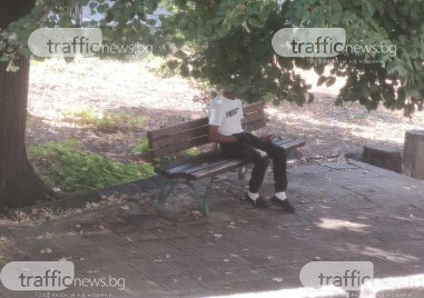 Мъж редовно се опипва на пейка срещу училище Душо Хаджидеков   и
