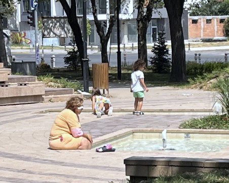 „Градини и паркове