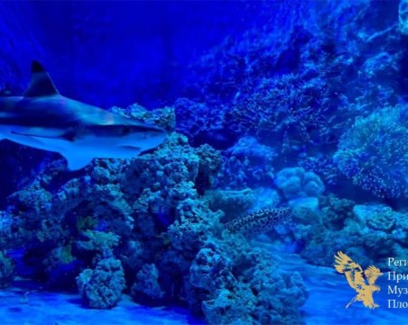 Уикенд „Подводно пътешествие