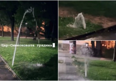 Поливните системи в Цар Симеоновата градина в Пловдив изливат безконтролно