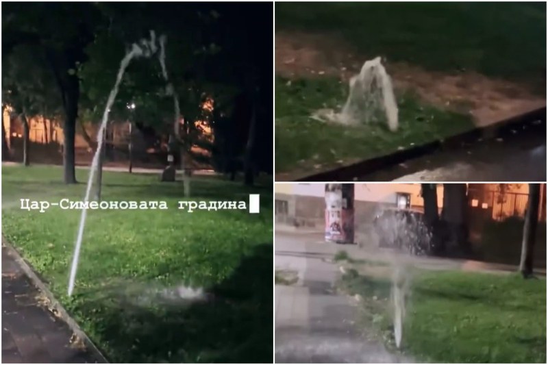 Поливните системи в Цар-Симеоновата градина в Пловдив изливат безконтролно литри