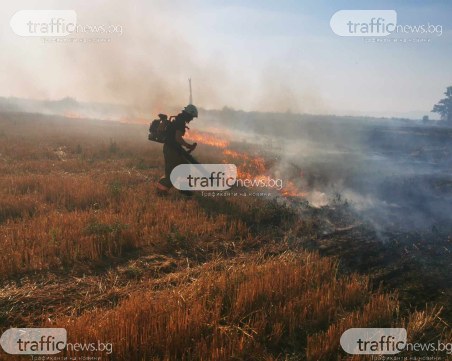 Овладяха пожара край село Динк, огънят стигнал почти до къщите