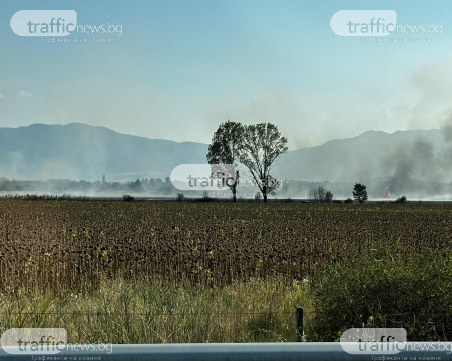 Пожар край АМ 