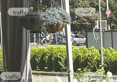 Кола  се обърна по таван на кръстовището на бул Дунав