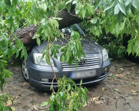 Силна буря с паднали дървета и смачкани автомобили в Симеоновград