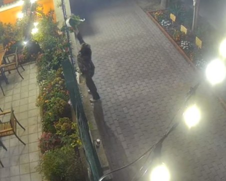 Заснеха жена в кражба и вандалска постъпка ВИДЕО