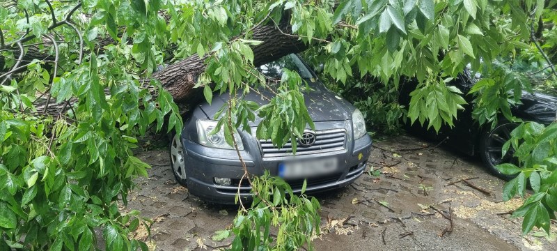 Силна буря с паднали дървета и смачкани автомобили в Симеоновград