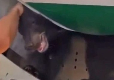 Изплашените пътници от полет 123 на Iraqi Airways трябваше да