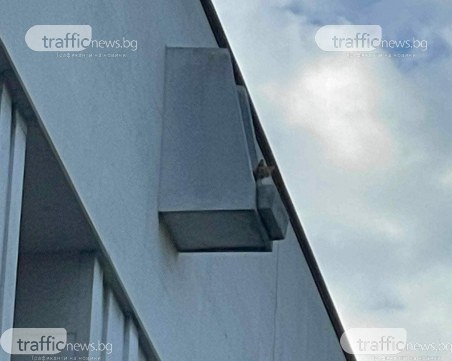 Малко коте от два дни стои под покрива на Централна поща в Пловдив