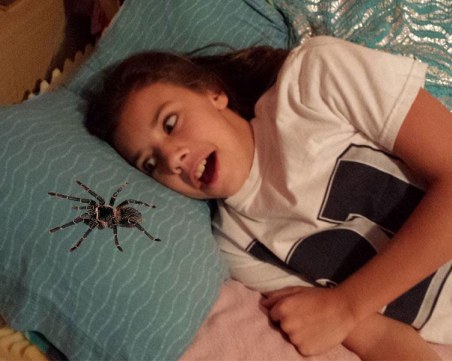 Възможно ли е да глътнем паяк, докато спим