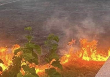 Пожар е избухнал в коритото на река Марица сигнализира читател