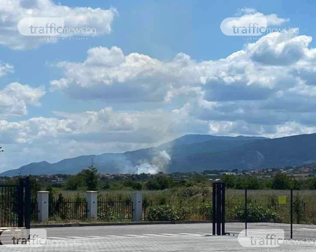 Горят тревни площи в Браниполе