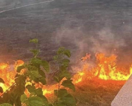 Пожар в коритото на река Марица, горят сухи треви