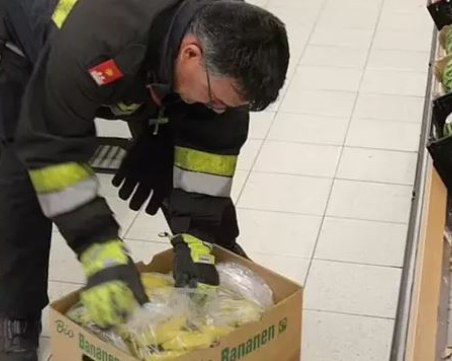 Затвориха супермаркет заради паяк, причиняващ силна ерекция!