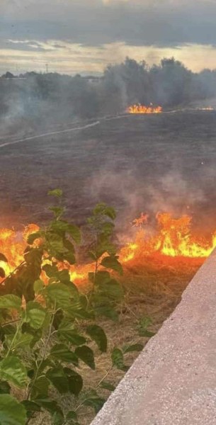 Пожар в коритото на река Марица, горят сухи треви