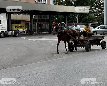 Каруца препуска по основен булевард в Пловдив дори и 10 години след забраната