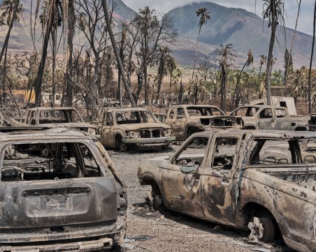 Расте броят на жертвите от пожарите на хавайския остров Мауи – вече са 67