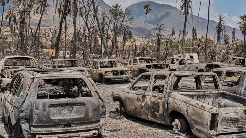 Броят на жертвите на пожара на хавайския остров Мауи расте.