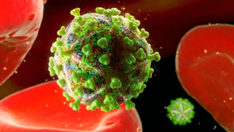 146 случая на ХИВ са открити у нас от началото на годината