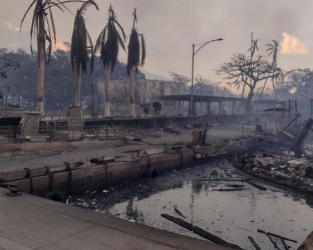 Най-малко 89 са вече жертвите на пожара в Хавай