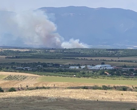 Пожар избухна в Асеновградско, четири пожарни гасят пламъците