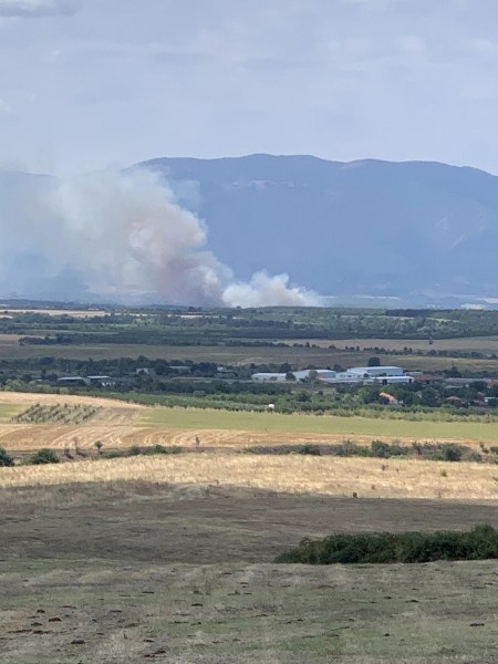 Пожар избухна в Асеновградско, четири пожарни гасят пламъците