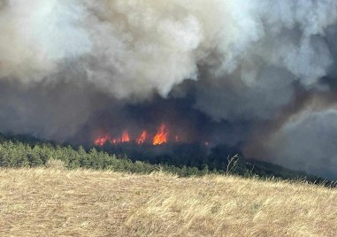 Огненият ад край бургаския квартал Банево продължава да се разраства