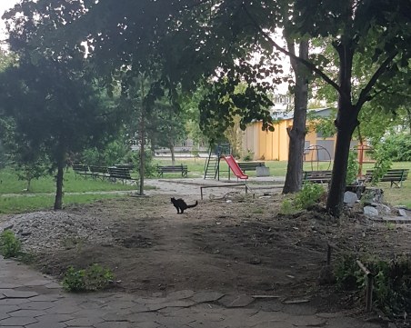 Как ВиК авария в Пловдив превърна междублоково пространство в котешка тоалетна?