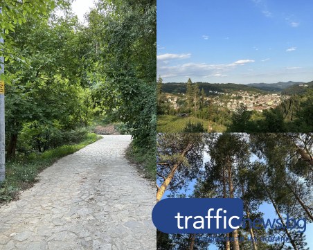 На разходка в родопския град Неделино: красиви екопътеки, гледки и минерални извори