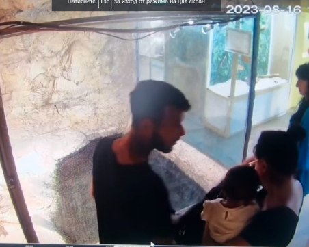 Бързата реакция на уредник спасила крокодила Хектор в Природонаучния музей