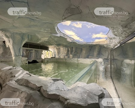 Леденият аквариум в Природонаучния музей посреща посетители наесен