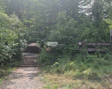 След стрелбата: Жената с Алексей Петров потърсила помощ от двама украинци