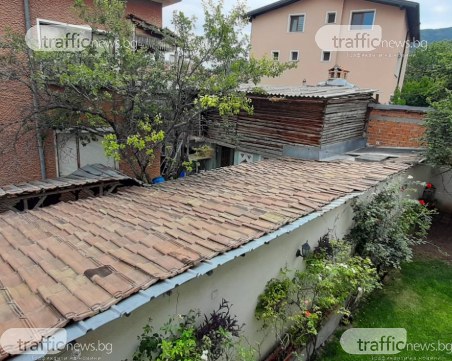 Още съседи скочиха срещу мъжа, отглеждащ крави в двора в Куклен, притесняват се за здравето си