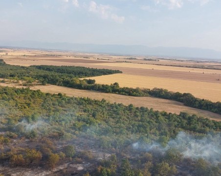 Потушиха горския пожар в землището на село Бабек край Пловдив