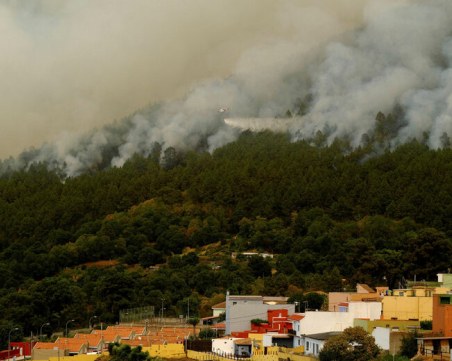 Пожарът на Тенерифе е извън контрол, евакуирани са над 26 000 души