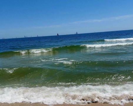 Туристическият бранш ще търси правата си срещу организаторите на грозната атака с чистотата на водата по българските плажове