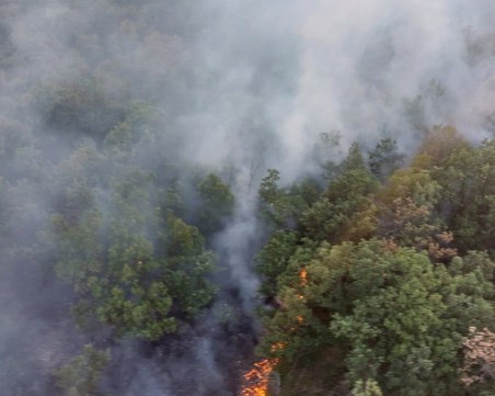 Втори пожар лумна в Хасковско, фронтът край село Миладиново е 7 км