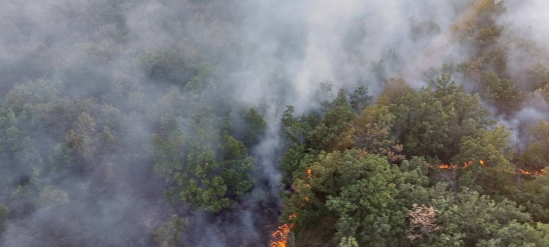 Пожарникари потушиха пламъците край пловдивското село Любен