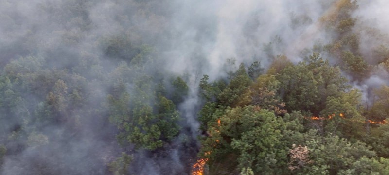 Втори пожар лумна в Хасковско, фронтът край село Миладиново е 7 км