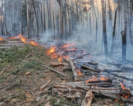 6000 дка гори са засегнати от пожара в Свиленградско