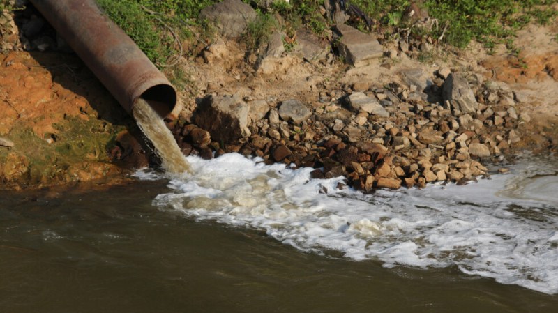 Разлив на отпадни води е изтровил рибата в р. Черна край Смолян