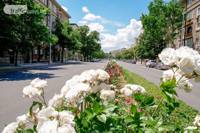 Жълт код за високи температури в Пловдив и още 22 области в страната