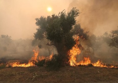 Засега няма опасност огненото бедствие в Гърция да стигне до