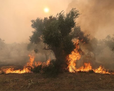 Димът от Александруполис достигна Тасос