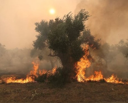 Български пожарникари също се включват в помощ на Гърция