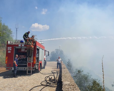 Пожар гори в гръцката част на Родопите близо до границата