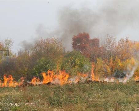 Сухи треви пламнаха в село Варвара, засегнат е горски пункт